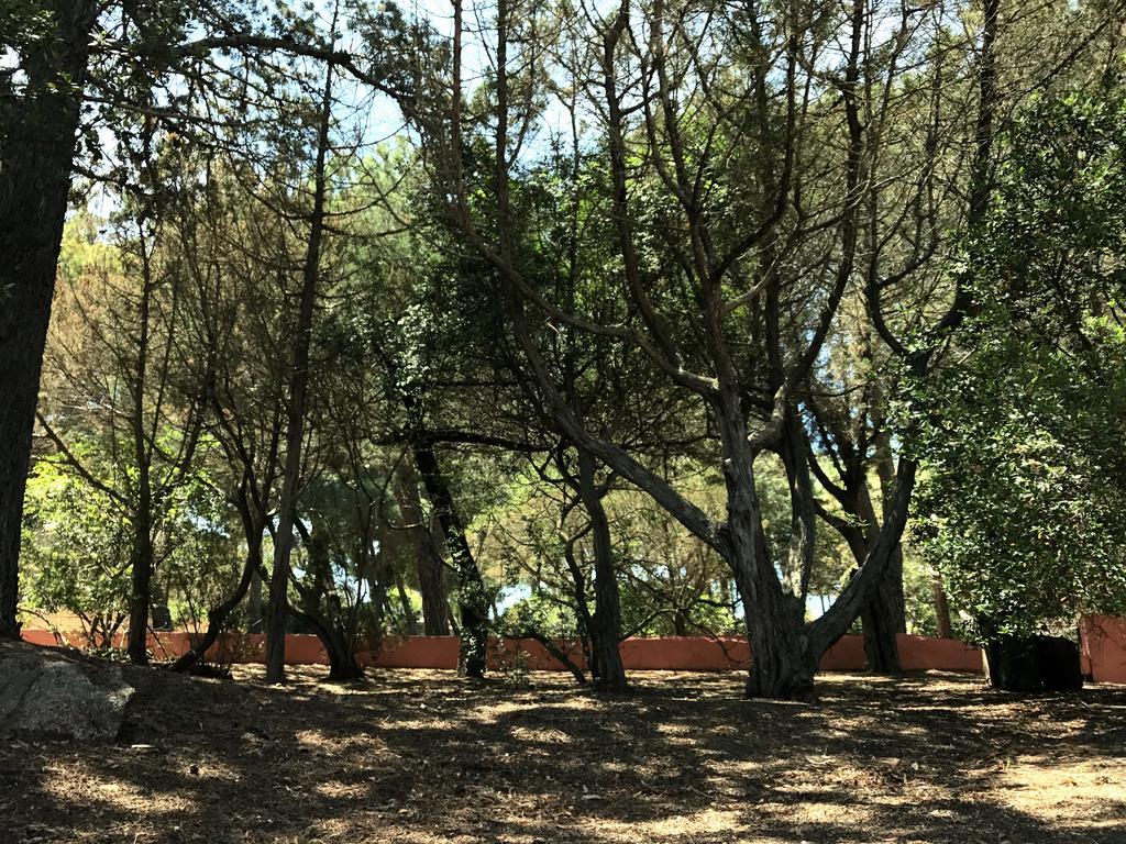Villa Mica La Maddalena  Eksteriør billede